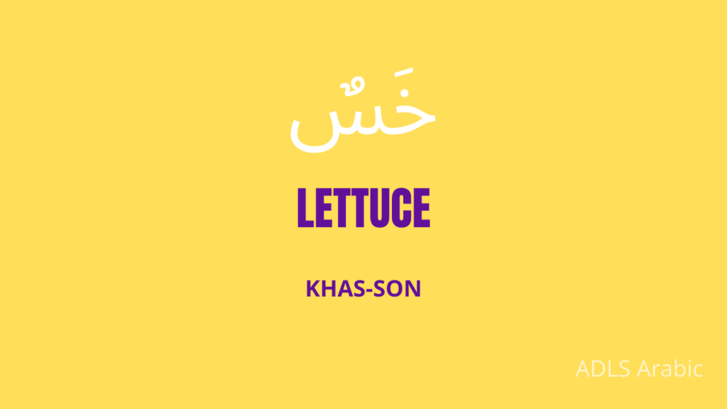 lettuce in Arabic