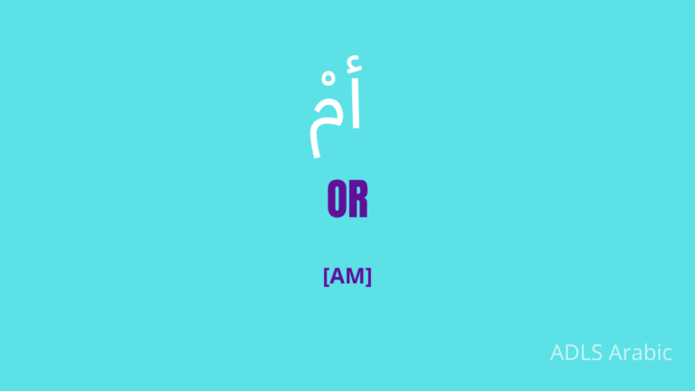 or-in-arabic-how-to-say-vocab-series-adls-arabic-courses