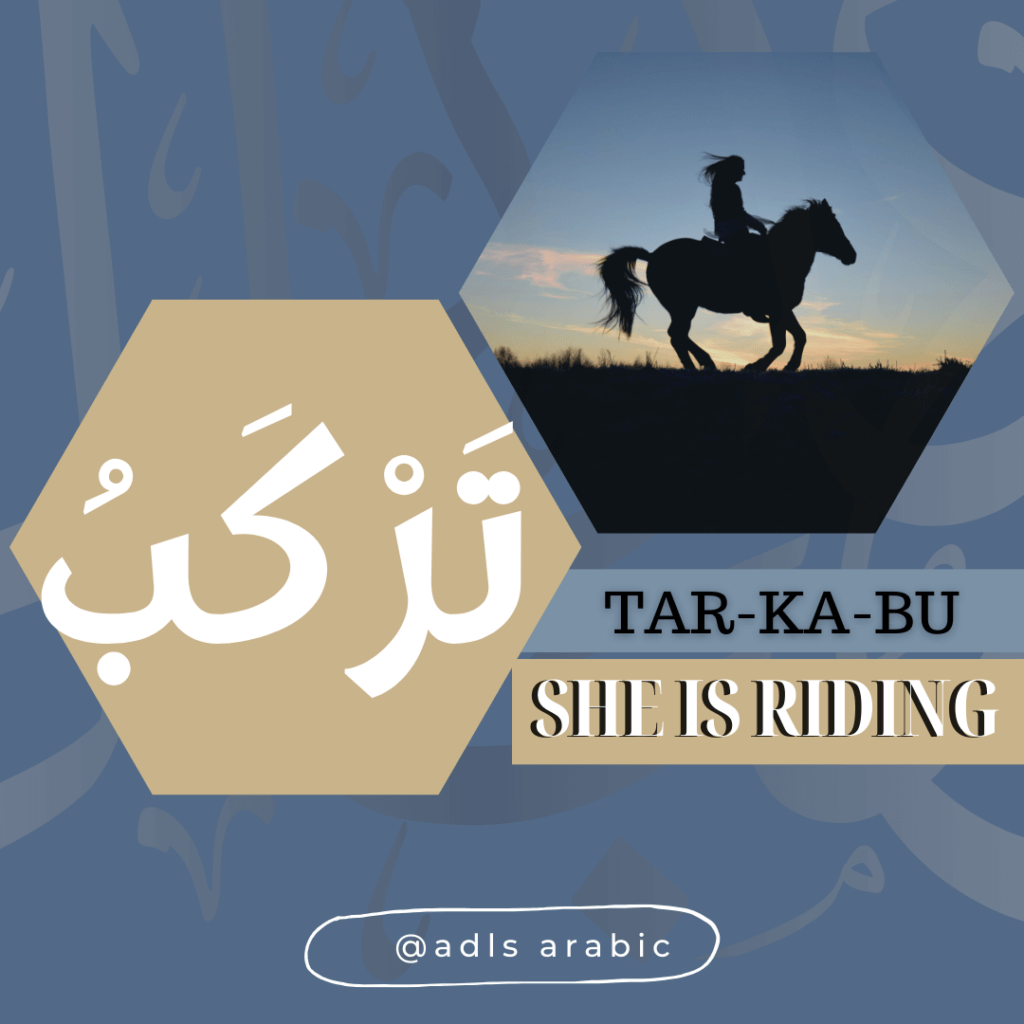 She is riding in Arabic Vocabulary